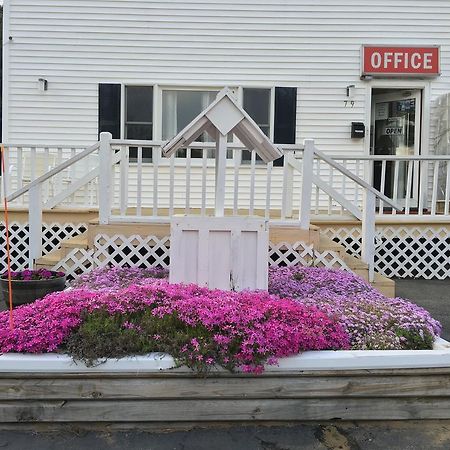 Knotty Pine Motel Salisbury Eksteriør billede